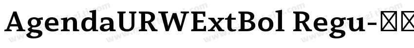 AgendaURWExtBol Regu字体转换